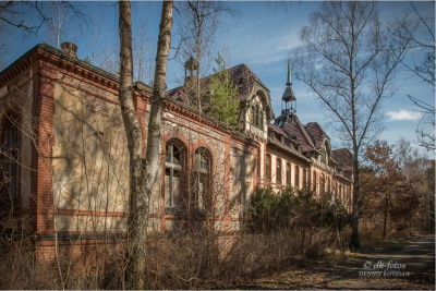baumkronenpfad-beelitz_02 baumkronenpfad-beelitz_02