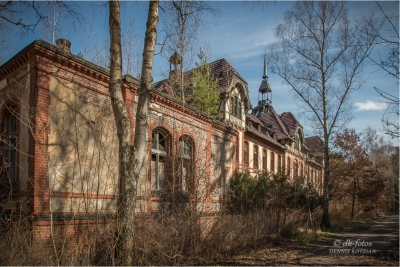 baumkronenpfad-beelitz_02