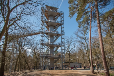 baumkronenpfad-beelitz_04