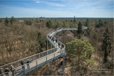 baumkronenpfad-beelitz_05