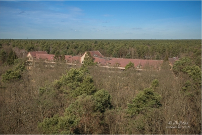baumkronenpfad-beelitz_06 baumkronenpfad-beelitz_06