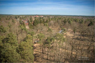 baumkronenpfad-beelitz_07