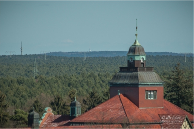 baumkronenpfad-beelitz_08 baumkronenpfad-beelitz_08