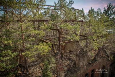 baumkronenpfad-beelitz_10