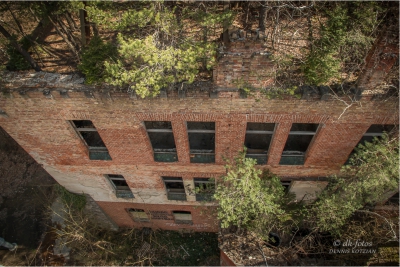 baumkronenpfad-beelitz_11 baumkronenpfad-beelitz_11