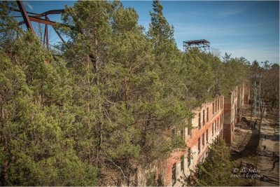 baumkronenpfad-beelitz_12 baumkronenpfad-beelitz_12