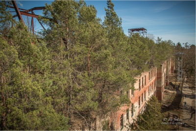 baumkronenpfad-beelitz_12