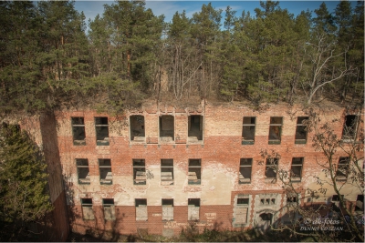 baumkronenpfad-beelitz_13