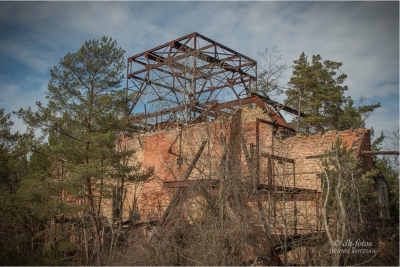 baumkronenpfad-beelitz_14 baumkronenpfad-beelitz_14