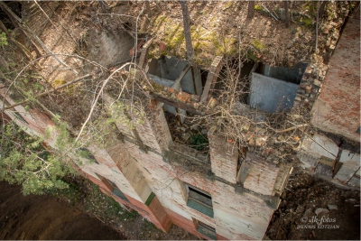 baumkronenpfad-beelitz_15