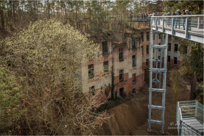 baumkronenpfad-beelitz_16