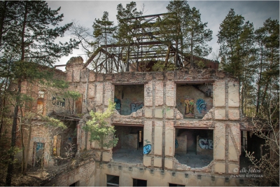 baumkronenpfad-beelitz_17 baumkronenpfad-beelitz_17