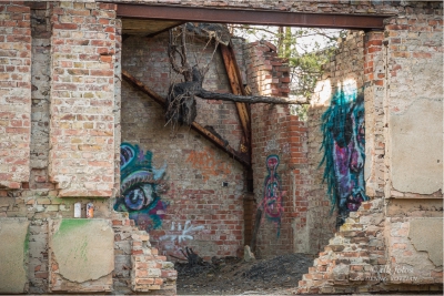 baumkronenpfad-beelitz_18 baumkronenpfad-beelitz_18