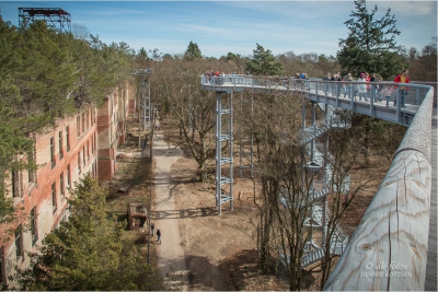 baumkronenpfad-beelitz_19 baumkronenpfad-beelitz_19