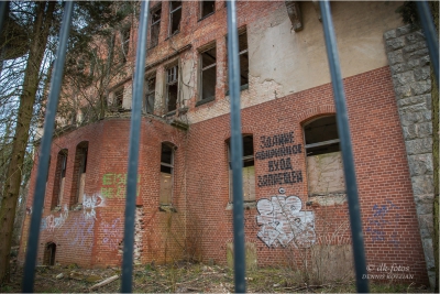 baumkronenpfad-beelitz_23 baumkronenpfad-beelitz_23