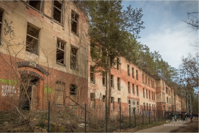 baumkronenpfad-beelitz_24