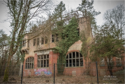 baumkronenpfad-beelitz_28 baumkronenpfad-beelitz_28