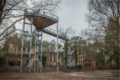 baumkronenpfad-beelitz_29