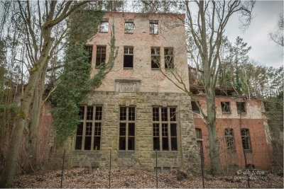 baumkronenpfad-beelitz_30 baumkronenpfad-beelitz_30