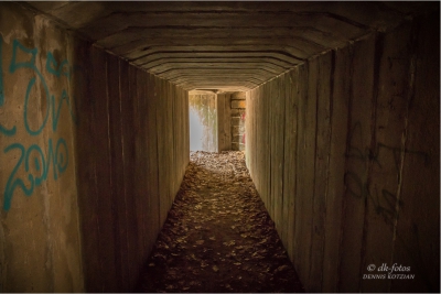 baumkronenpfad-beelitz_32