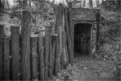 baumkronenpfad-beelitz_33 baumkronenpfad-beelitz_33
