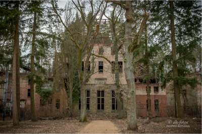 baumkronenpfad-beelitz_34 baumkronenpfad-beelitz_34