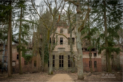 baumkronenpfad-beelitz_34