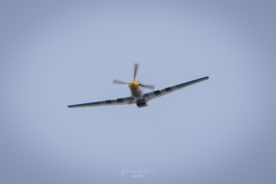 260531_deko7505