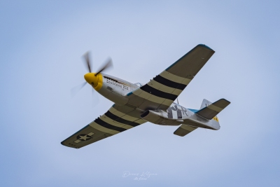 260531_deko7523