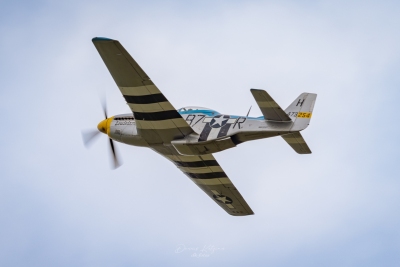260531_deko7534