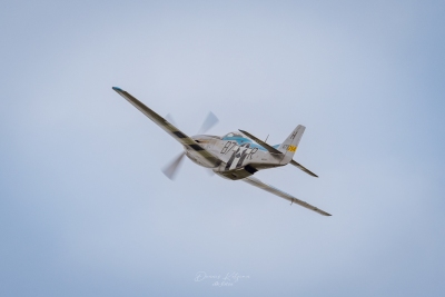 260531_deko7541