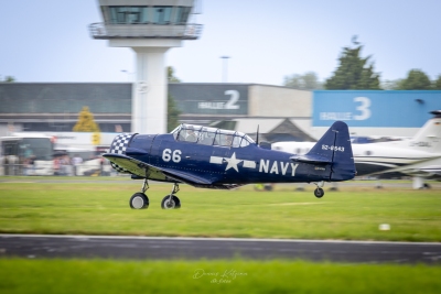 260531_deko7798
