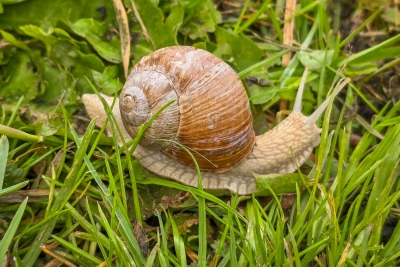 20250518_112531