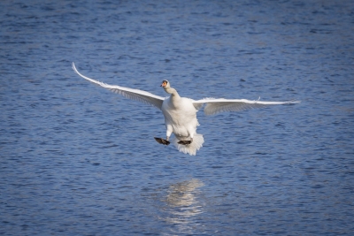 250220_deko_0730