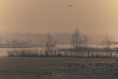 250316_deko_2914