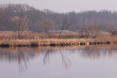 250316_deko_2926