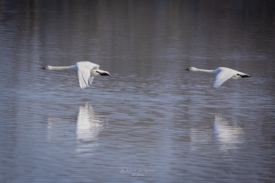 250316_deko_3014