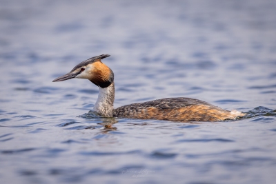 250413_deko_4210-Verbessert-RR-2