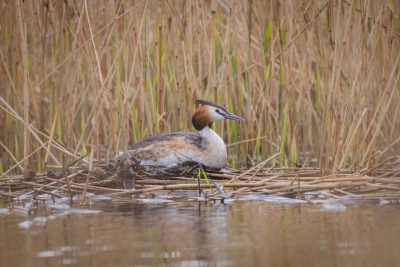 250413_deko_4215-Verbessert-RR