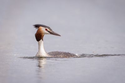 250413_deko_4259-Verbessert-RR