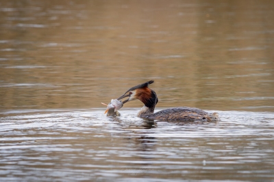 250413_deko_4269-Verbessert-RR