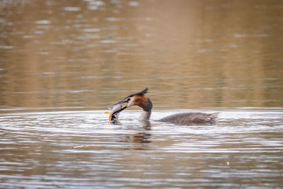 250413_deko_4272-Verbessert-RR