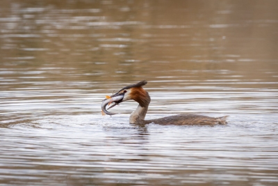 250413_deko_4284-Verbessert-RR