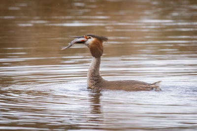 250413_deko_4291-Verbessert-RR