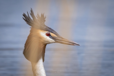 250413_deko_4305-Verbessert-RR-3