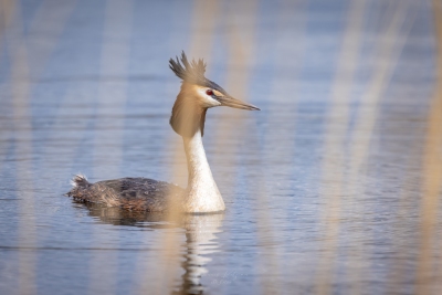 250413_deko_4305-Verbessert-RR