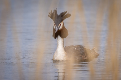 250413_deko_4310-Verbessert-RR-2