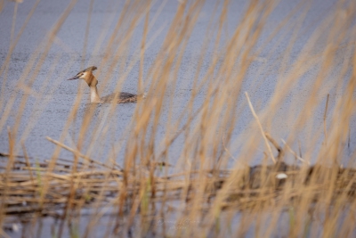 250413_deko_4320-Verbessert-RR