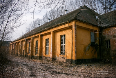 hillersleben03 hillersleben03