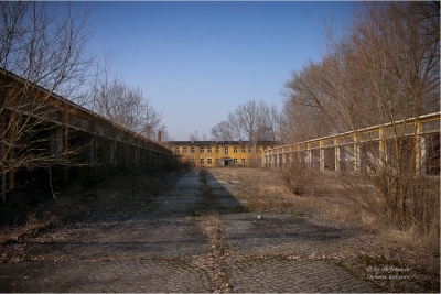 hillersleben24 hillersleben24